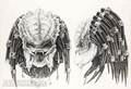 colos-predator-01.jpg