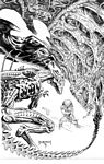 avp_dhclassics_06_original1.jpg