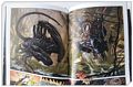 avp_sce_08.jpg
