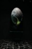 3d_poster_alien_05.jpg