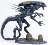 avps2_queen_03.jpg