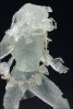 mm5stealthpredator-4.jpg