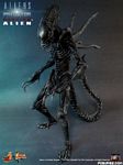 hot-toy_avpr_alien-warrior_01.jpg