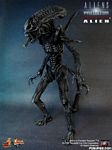 hot-toy_avpr_alien-warrior_02.jpg
