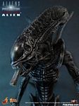 hot-toy_avpr_alien-warrior_05.jpg