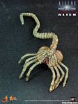 hot-toy_avpr_alien-warrior_06.jpg