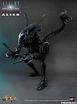 hot-toy_avpr_alien-warrior_07.jpg