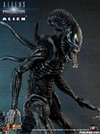 hot-toy_avpr_alien-warrior_08.jpg
