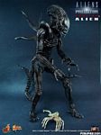 hot-toy_avpr_alien-warrior_09.jpg