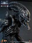hot-toy_avpr_alien-warrior_10.jpg