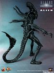 hot-toy_avpr_alien-warrior_11.jpg