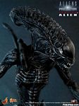 hot-toy_avpr_alien-warrior_12.jpg