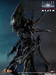 hot-toy_avpr_alien-warrior_13.jpg