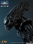 hot-toy_avpr_alien-warrior_14.jpg