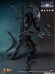hot-toy_avpr_alien-warrior_15.jpg