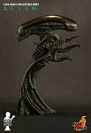 ALIEN_collectible_bust_03.jpg