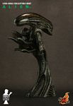ALIEN_collectible_bust_04.jpg