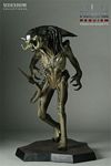SideShow_PredAlien_Maquette_03.jpg