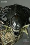 SideShow_PredAlien_Maquette_08.jpg