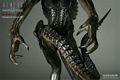 SideShow_PredAlien_Maquette_09.jpg