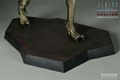 SideShow_PredAlien_Maquette_10.jpg