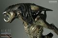 SideShow_PredAlien_Maquette_11.jpg