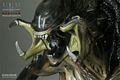SideShow_PredAlien_Maquette_12.jpg