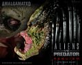 SideShow_Predator_Life_Size_Bust_00.jpg