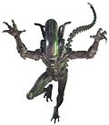 avp2-pic03.jpg