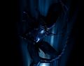 avp2-pic05.jpg