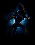 avp2-pic06.jpg