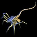 avp2-pic07.jpg