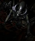 alienscba14.jpg