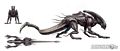 aliens-crucible-concept-030.jpg