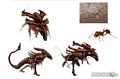 aliens-crucible-concept-032.jpg