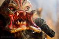 predators-foto-002.jpg