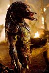 predators-foto-003.jpg