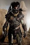 predators-foto-004.jpg