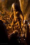 predators-foto-008.jpg