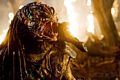 predators-foto-009.jpg