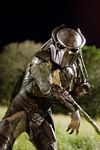 predators-foto-011.jpg