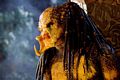 predators-foto-015.jpg