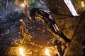 predators-foto-017.jpg