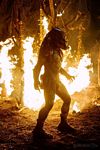 predators-foto-018.jpg