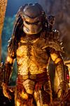 predators-foto-019.jpg