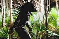 predators-foto-020.jpg