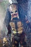 predators-foto-023.jpg