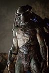 predators-foto-031.jpg