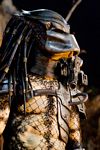 predators-foto-047.jpg