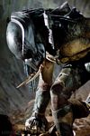 predators-foto-049.jpg